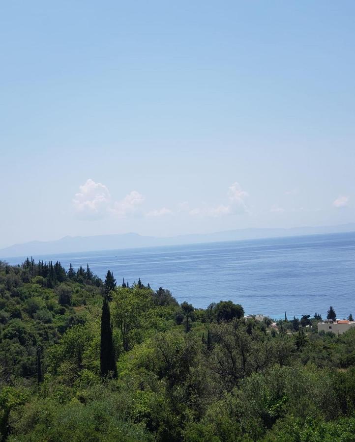 Zaho Dhërmi